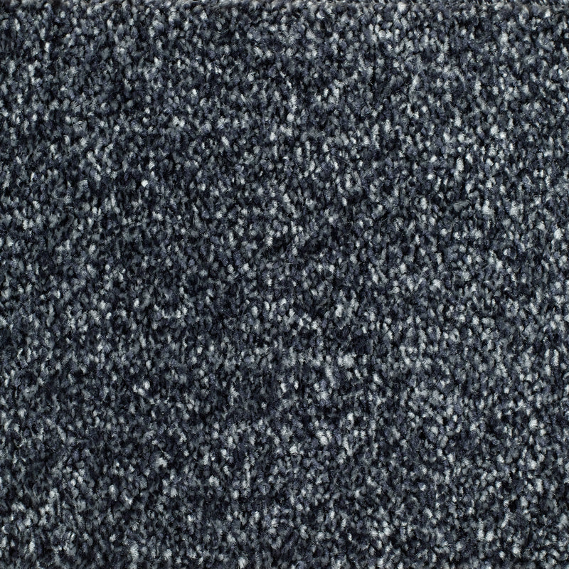 Brixham Carpet