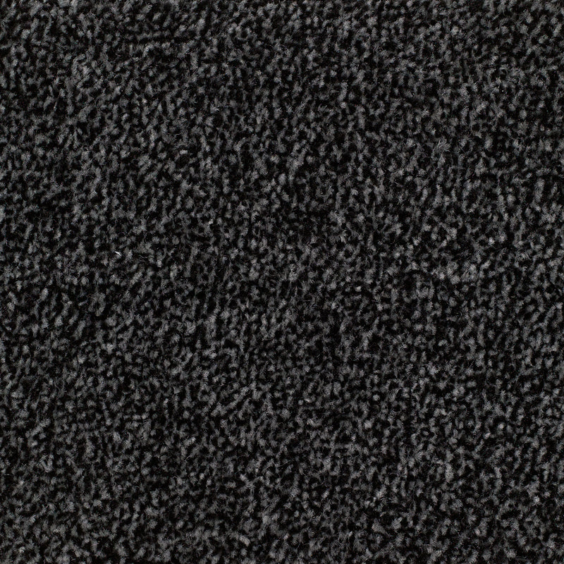 Carrick Cove Carpet