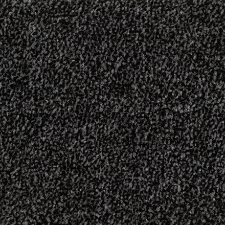 Carrick Cove Carpet