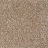 Carrick Cove Carpet