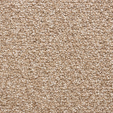 Cedar Falls Carpet