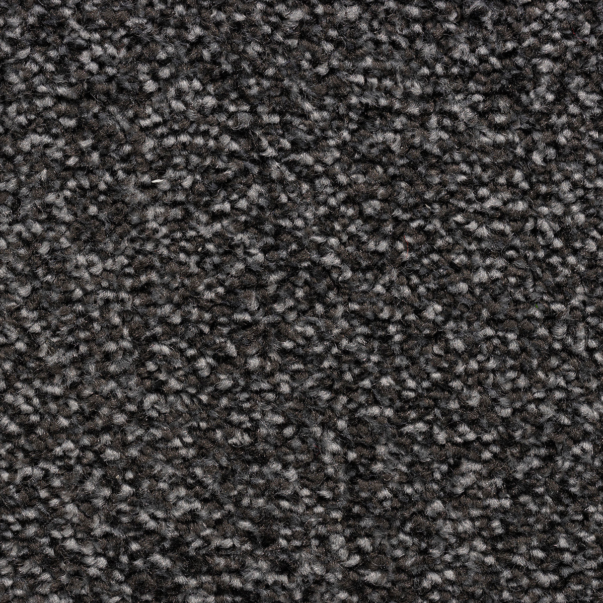 Cedar Falls Carpet