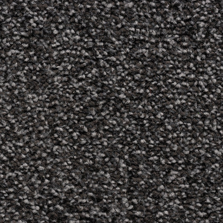 Cedar Falls Carpet