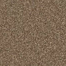 Primo Naturals carpet