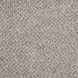 Primo Tweeds carpet