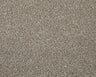 Cormar Apollo Elite carpet - Charente Beige