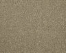 Cormar Apollo Elite carpet - Helmsley Hazelnut