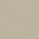 Cormar Aurora carpet - Barnacle