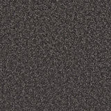 Cormar Aurora carpet - Carbon