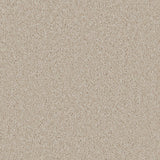 Cormar Aurora carpet - Champagne
