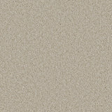Cormar Aurora carpet - Limed Oak