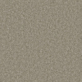 Cormar Aurora carpet - Thyme