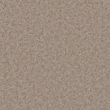 Cormar Hampstead carpet - Ridge Rock