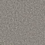 Cormar Kingston carpet - Iron Ore