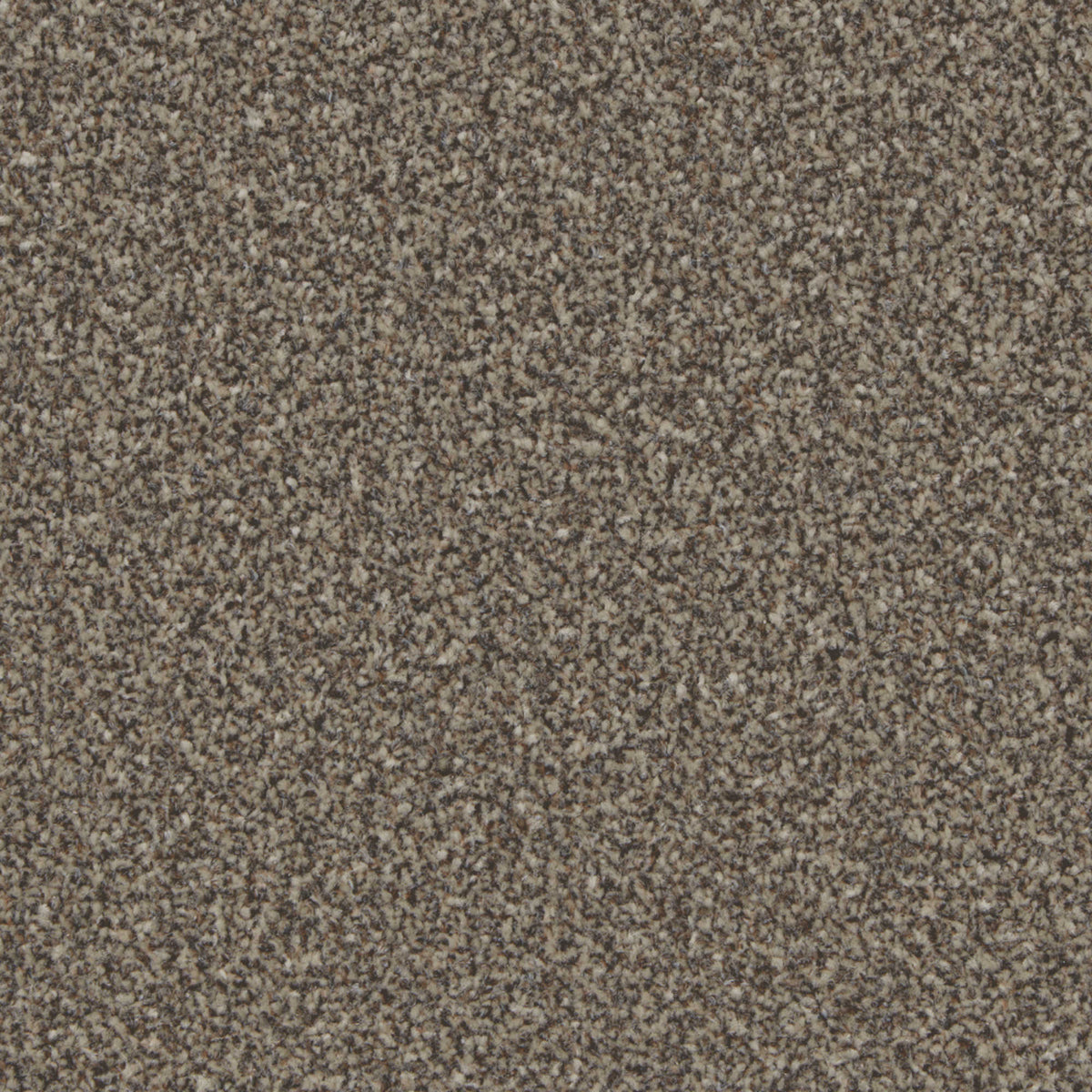 Cormar Kingston carpet - Molasses
