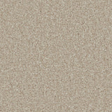 Cormar Kingston carpet - Woodbrook