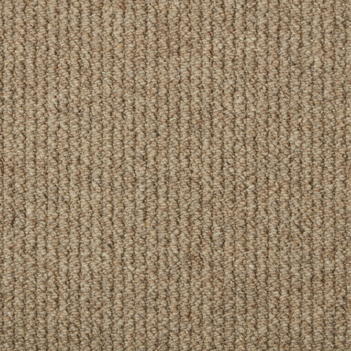 Cormar Malabar Two Fold carpet - Koala
