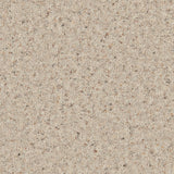 Cormar Natural Berber Twist carpet - Platinum
