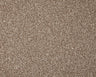 Cormar Primo Grande carpet - Beaver
