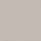 Cormar Primo Plus carpet - Alloy Grey