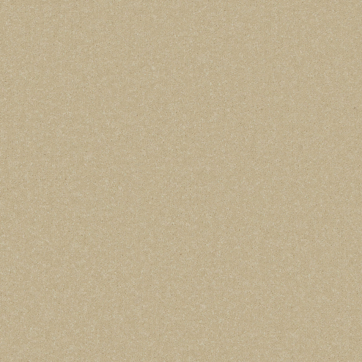 Cormar Primo Plus carpet - Beachcomber