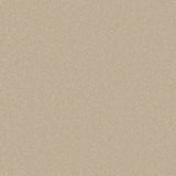 Cormar Primo Plus carpet - Cloudy Bay