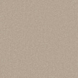 Cormar Primo Plus carpet - Cotswold Clay