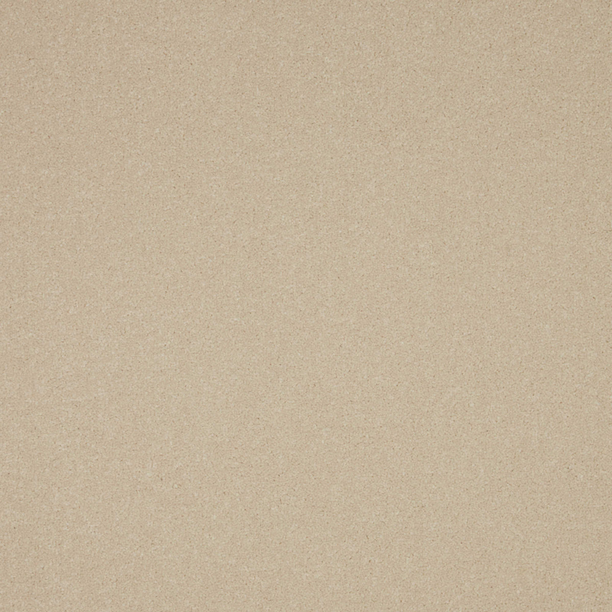 Cormar Primo Plus carpet - Ecru