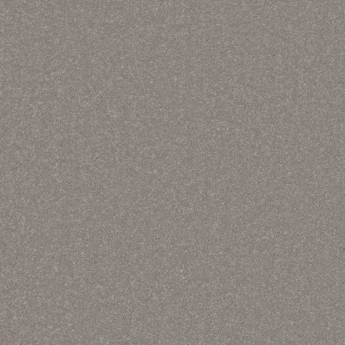 Cormar Primo Plus carpet - French Grey