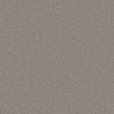 Cormar Primo Plus carpet - French Grey