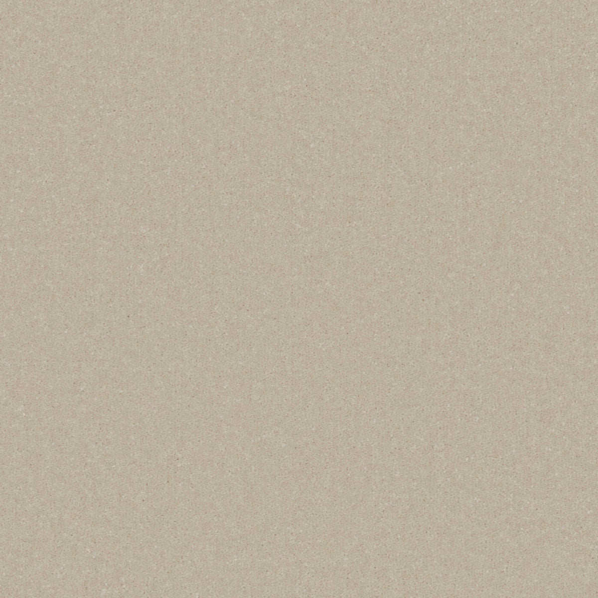 Cormar Primo Plus carpet - Manilla