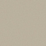 Cormar Primo Plus carpet - Manilla