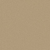 Cormar Primo Plus carpet - Muscovado