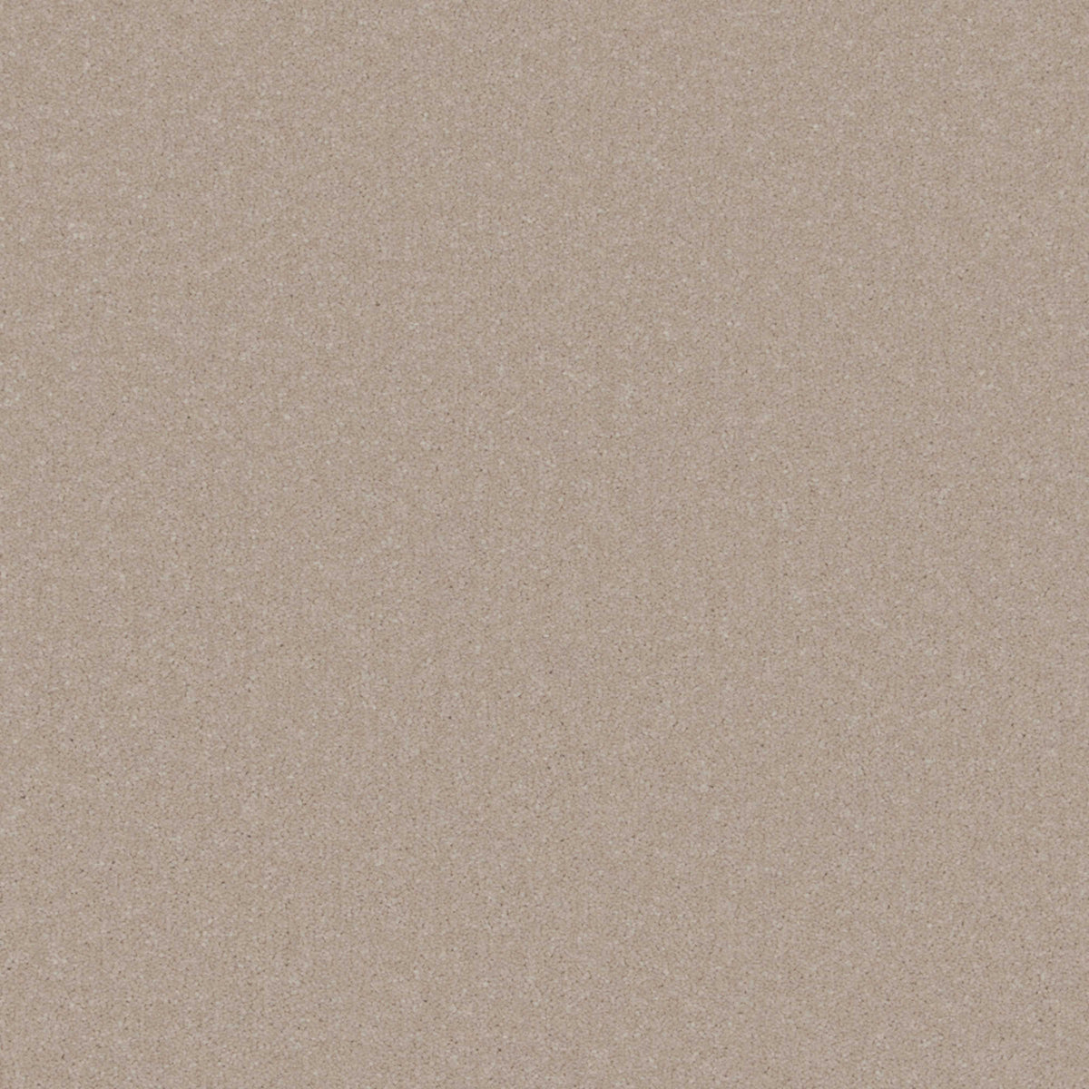 Cormar Primo Plus carpet - Pannacotta