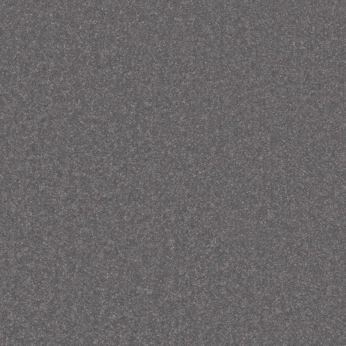 Cormar Primo Plus carpet - Pumice