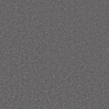 Cormar Primo Plus carpet - Pumice