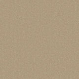 Cormar Primo Plus carpet - Putty