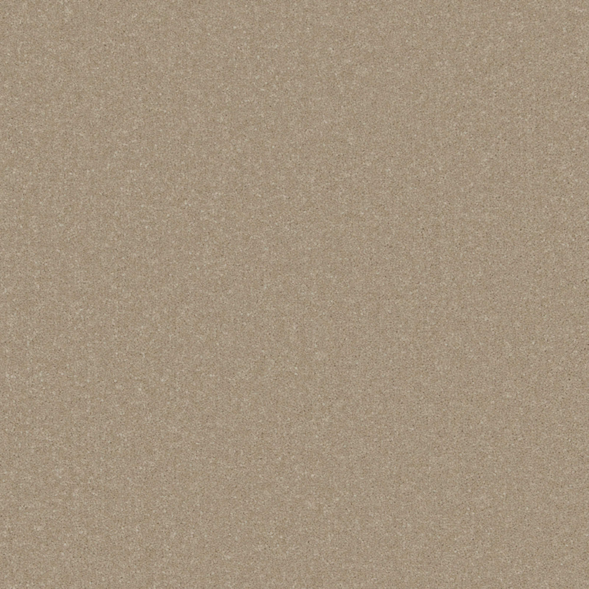 Cormar Primo Plus carpet - Resin