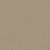 Cormar Primo Plus carpet - Resin