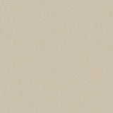 Cormar Primo Plus carpet - Snowdrift