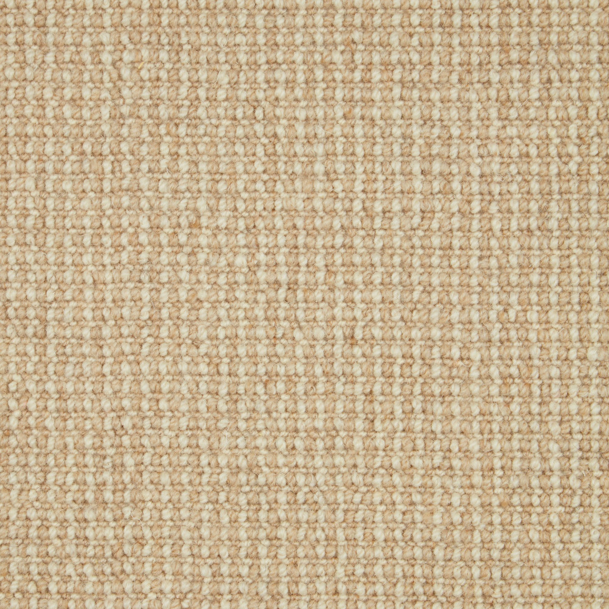 Cormar Trilogy carpet - Austen 224