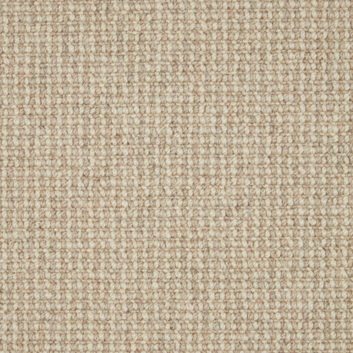 Cormar Trilogy carpet - Austen 260