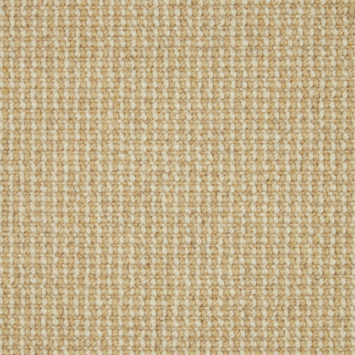 Cormar Trilogy carpet - Austen 272