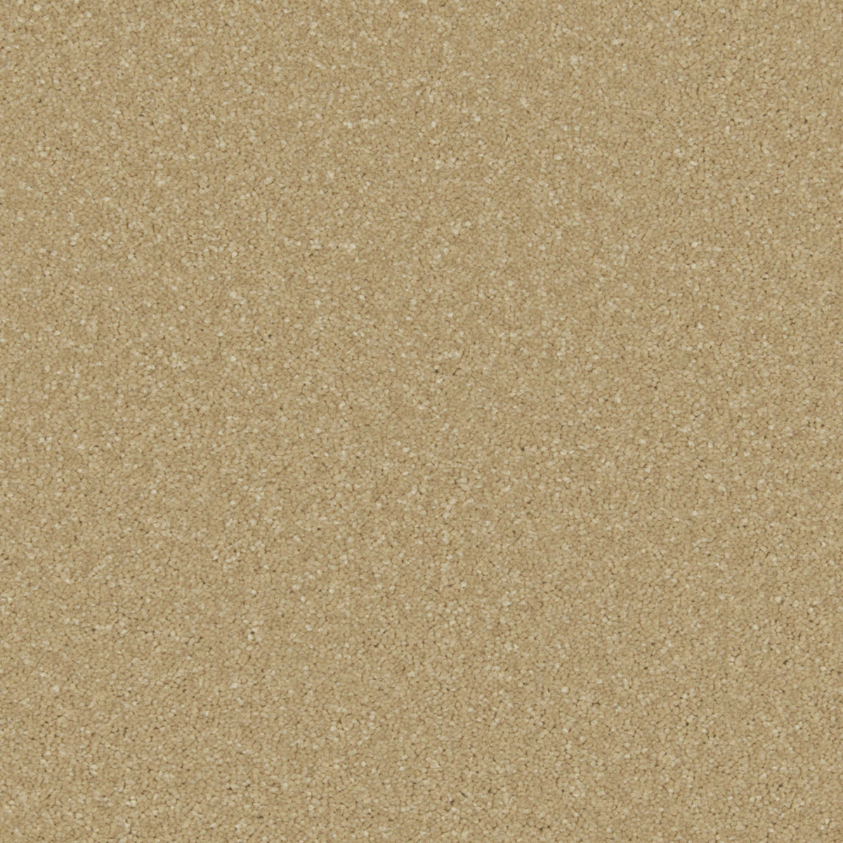 Cormar Zenith carpet - Sandy Bay