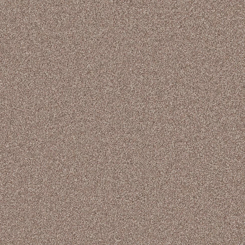 Primo Naturals carpet