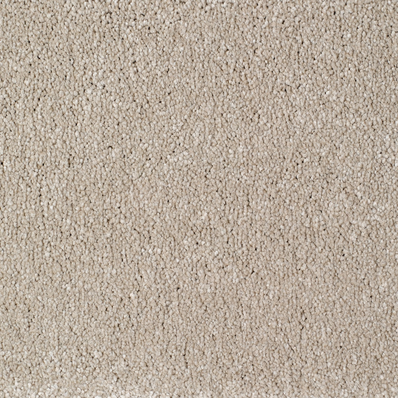 Eastbourne Carpet