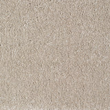 Eastbourne Carpet