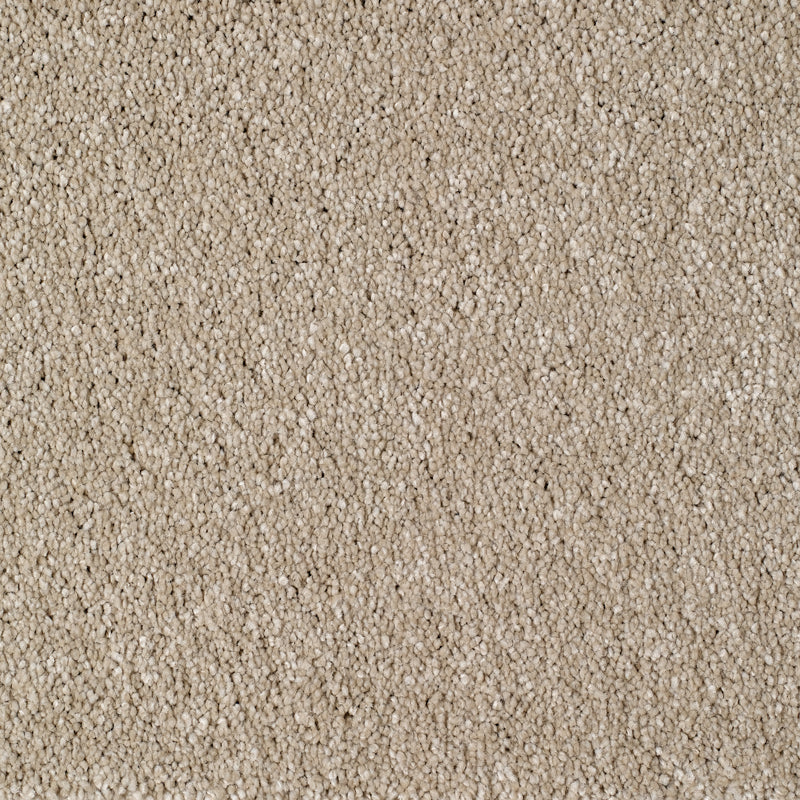 Eastbourne Carpet