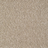 Eastbourne Carpet