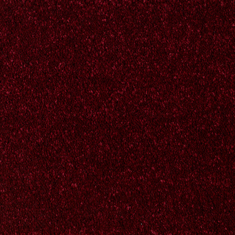 Eastbourne Carpet